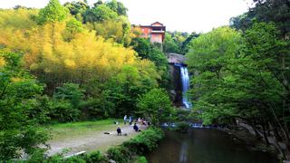 石梁飞瀑 景点图 101_5