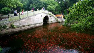 普陀山法雨禅寺 景点图 107_2