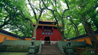 普陀山法雨禅寺 景点图 107_3