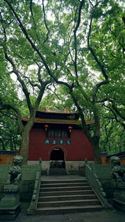 普陀山法雨禅寺 景点图 107_4