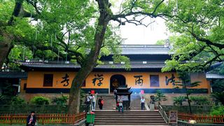 普陀山法雨禅寺 景点图 107_8