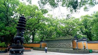 普陀山法雨禅寺 景点图 107_9
