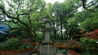 普陀山法雨禅寺 景点图 107_10
