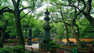 普陀山法雨禅寺 景点图 107_12
