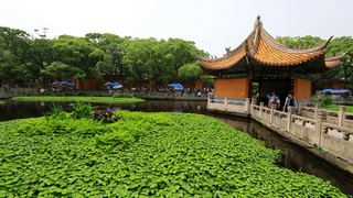 普陀山普济禅寺 景点图 108_6