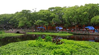 普陀山普济禅寺 景点图 108_7