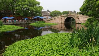 普陀山普济禅寺 景点图 108_8