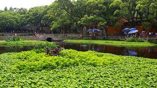 普陀山普济禅寺 景点图 108_9
