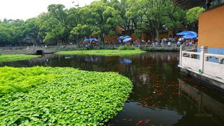 普陀山普济禅寺 景点图 108_10