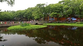 普陀山普济禅寺 景点图 108_12