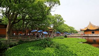 普陀山普济禅寺 景点图 108_14