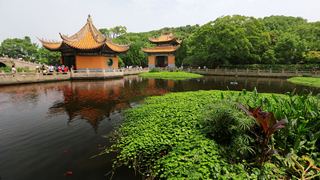普陀山普济禅寺 景点图 108_15