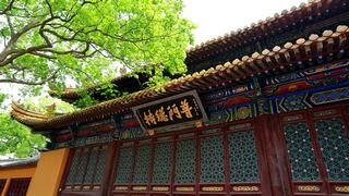 普陀山普济禅寺 景点图 108_17