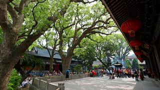 普陀山普济禅寺 景点图 108_19