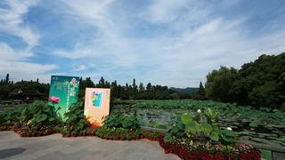 2013杭州西湖荷花艺术节 景点图 109_5