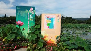 2013杭州西湖荷花艺术节 景点图 109_6