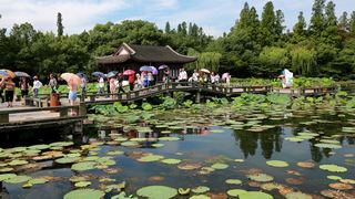 2013杭州西湖荷花艺术节 景点图 109_11