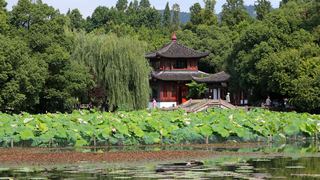 2013杭州西湖荷花艺术节 景点图 109_18