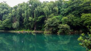 花溪公园 景点图 11_7