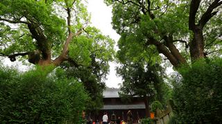 天台国清寺 景点图 110_9