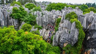 石林 景点图 111_4