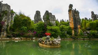 石林 景点图 111_9