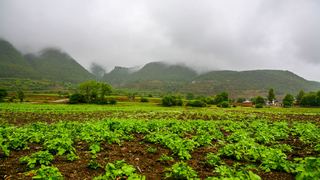 泸沽湖 景点图 114_8