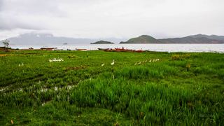 泸沽湖 景点图 114_10
