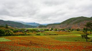 泸沽湖 景点图 114_17