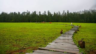 云杉坪 景点图 115_3