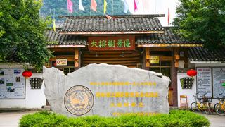 阳朔大榕树 景点图 119_2