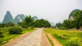 阳朔大榕树 景点图 119_3
