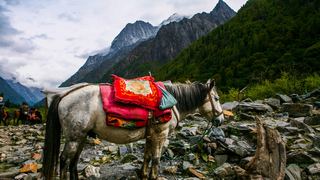 四姑娘山 景点图 130_20