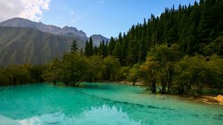 黄龙风景区 景点图 131_11