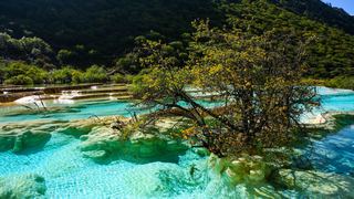 黄龙风景区 景点图 131_17