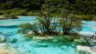 黄龙风景区 景点图 131_19