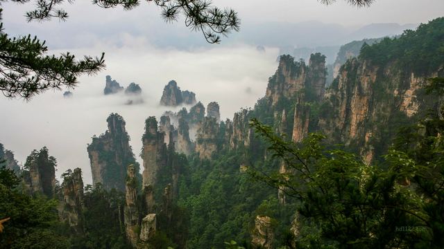 张家界国家森林公园