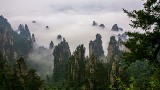 张家界国家森林公园 景点图 133_5