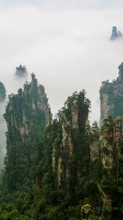 张家界国家森林公园 景点图 133_6
