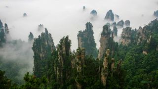 张家界国家森林公园 景点图 133_7
