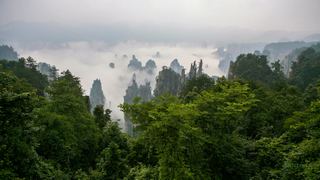 张家界国家森林公园 景点图 133_10