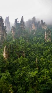 张家界国家森林公园 景点图 133_12