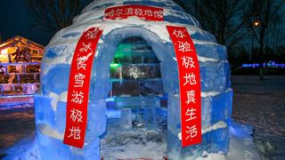 哈尔滨冰雪大世界 景点图 140_2