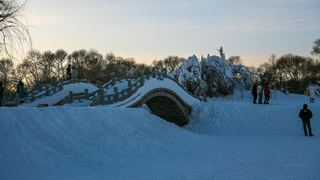 太阳岛雪雕艺术园 景点图 141_4