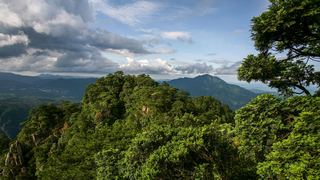 井冈山笔架山 景点图 146_2
