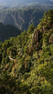 井冈山笔架山 景点图 146_3