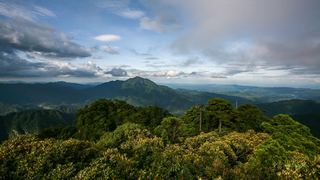 井冈山笔架山 景点图 146_4