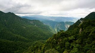 井冈山笔架山 景点图 146_5