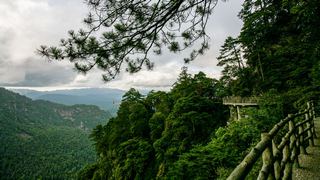 井冈山笔架山 景点图 146_6