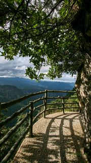 井冈山笔架山 景点图 146_7